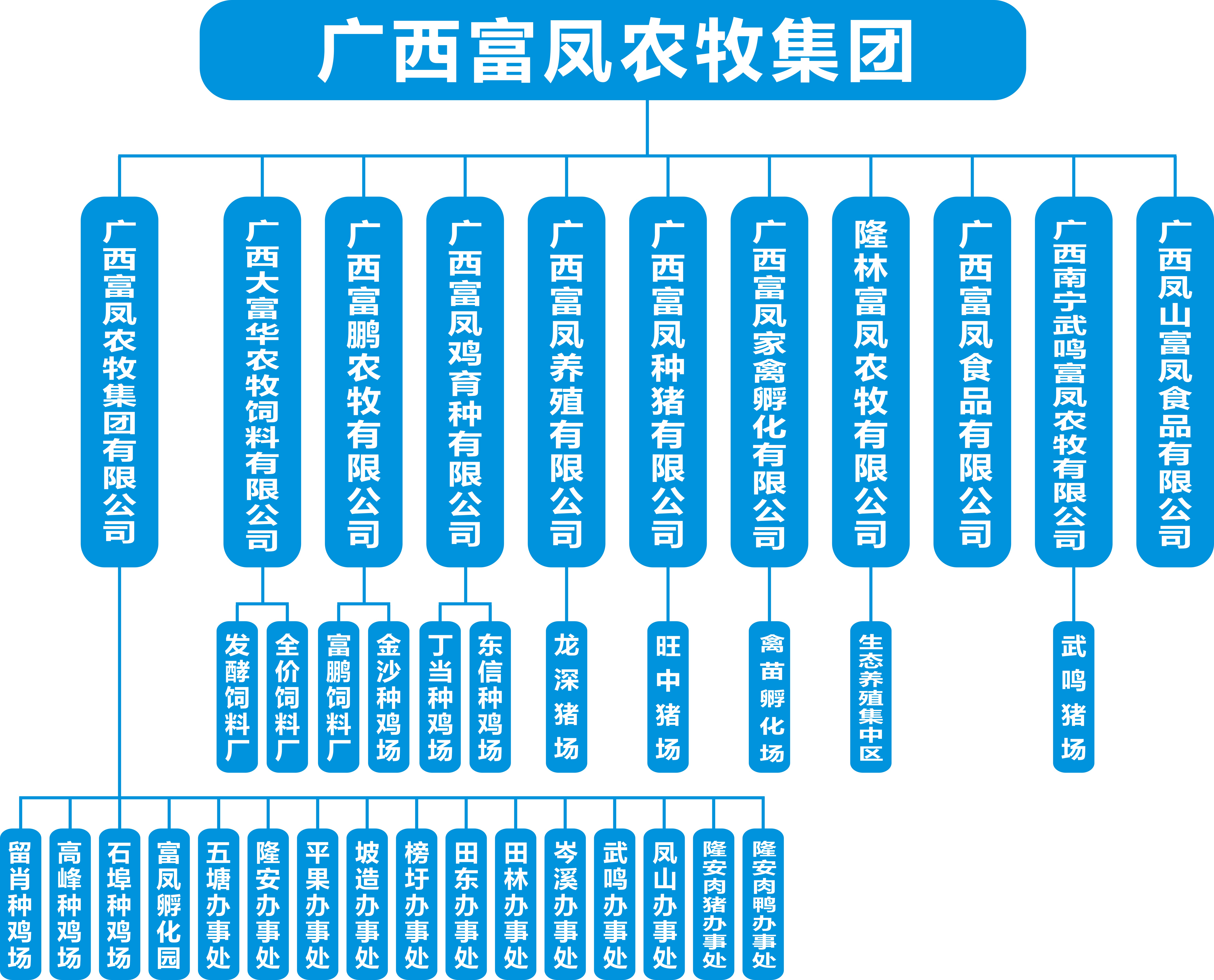 鸿运国际